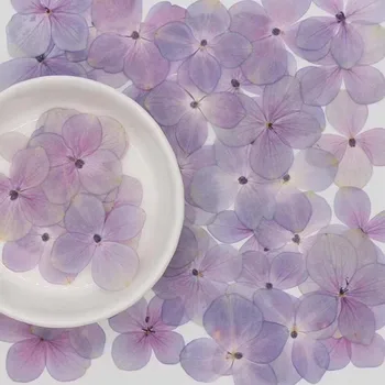120pcs Secado Prensado Natural de color Rosa-Púrpura Hortensia Flores de la Planta de Herbario Para la Joyería Marcador Caso de Teléfono de un Álbum de recortes de BRICOLAJE