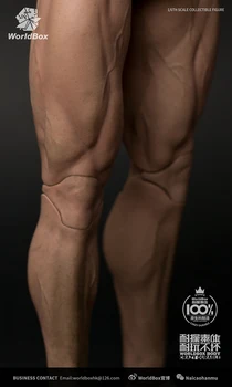 33cm AT027 Escala 1/6 Figura de Acción de hombre Alto Figura del Cuerpo Durable Cuerpo Rasgado Hombre Musculoso Cuerpo Fuerte Modelo de 1:6 en la Cabeza
