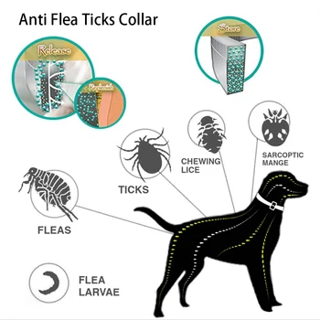 Bayer Seresto 8 Mes Flea & Tick Prevención Collar para Gatos Perro Mosquitos Collar Repelente de Insectos Mosquitos Productos Únicos