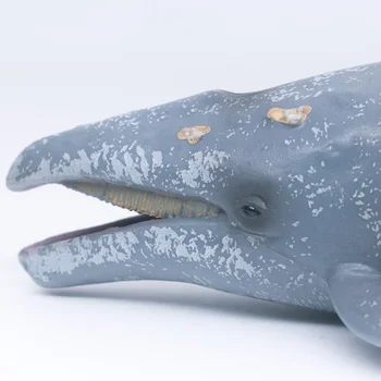 CollectA De Vida Salvaje De Los Animales Del Océano De La Ballena Gris De Plástico De Simulación De Juguete Modelo #88836