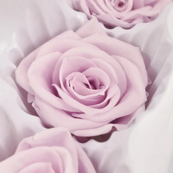 Conserva de Rosas Flores Inmortales Rosa 5-6CM de Diámetro el Día de las Madres DIY Boda Vida Eterna Flor de Regalo Material 6pcs/Cuadro de Nivel B