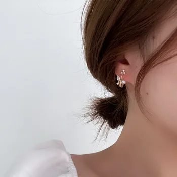Coreano de Dongdaemun pendientes de mujer de nicho diseño de sentido viento frío temperamento todos-partido de circón de cristal pendientes de perlas aretes