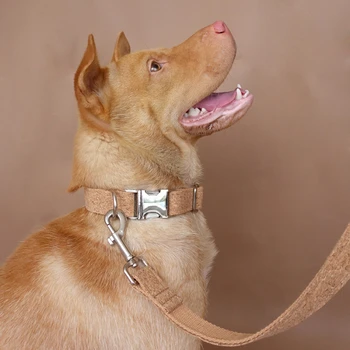 MUTTCO individuales personalizadas para mascotas suministros de la veta de LA MADERA de la resistencia a la picadura de collar de perro de la correa del perrito accesorio 5 tamaños UDC084
