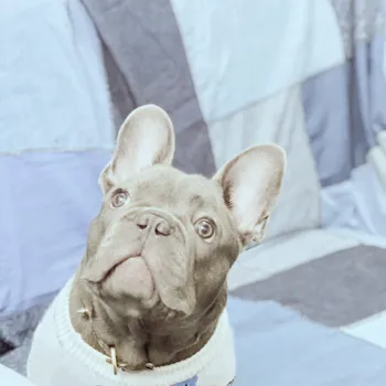 Nuevo Invierno Suéter para Perro Pequeño Mediano Perros Calientes de Ropa de Perro Bulldog francés de Ropa de Diseñador de Trajes del Perro A158