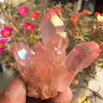 Rara hermosa rosa llama aura de cristal de cuarzo de clúster muestra 60-70