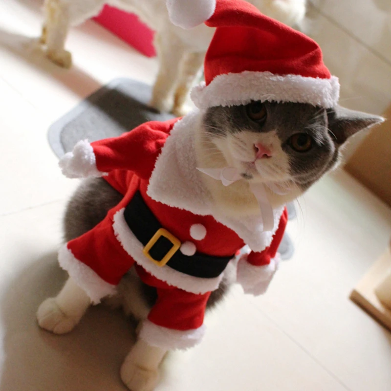 [PMK Gato Trajes de] Santa Cláusula Disfraz de Gato!! Lindo Santa! Rojo De Santa Gato De La Ropa Del Traje De La Capa De La Ropa, X-Mas De Disfraces 0