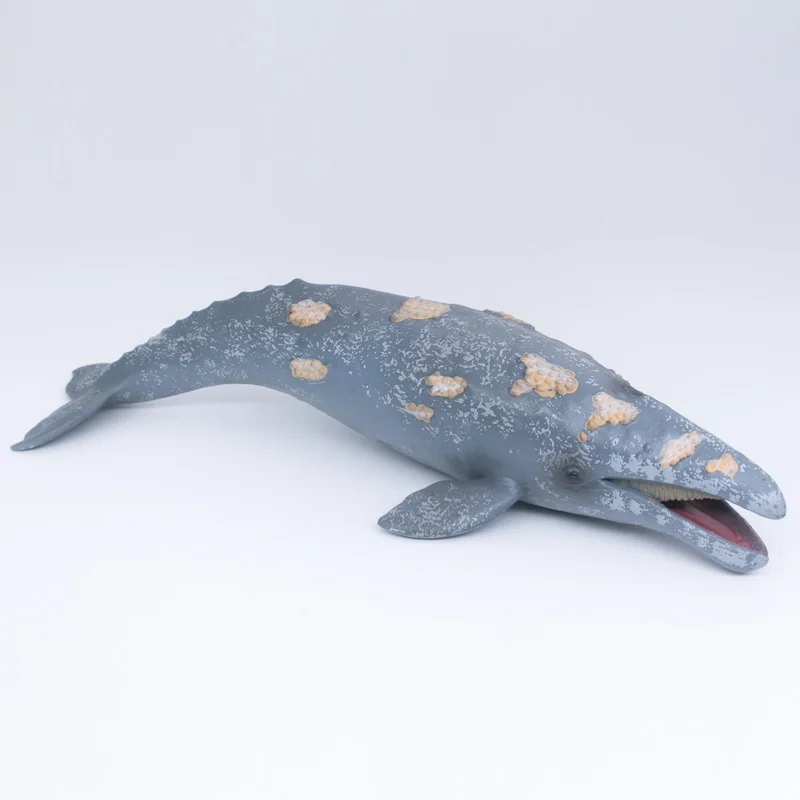 CollectA De Vida Salvaje De Los Animales Del Océano De La Ballena Gris De Plástico De Simulación De Juguete Modelo #88836 0
