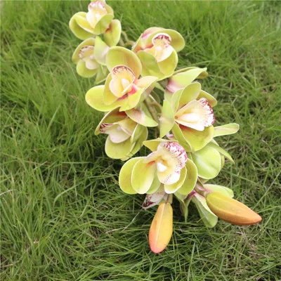 72cm impreso en 3D de la nueva llegada whelan orquídea Asia orquídea real de toque de la flor 1