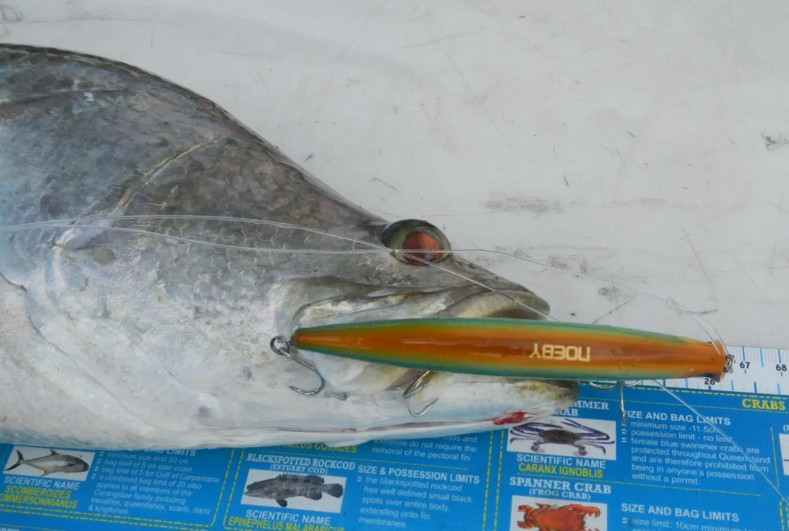 NOEBY señuelo de la pesca de worrble minnow lure duro cebo para la lubina 120mm 16g y de 150 mm 24g flotante jerkbait de surf bajo señuelos de pesca 1