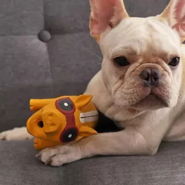 Youpin nueva mascota perro de juguete de squeak exprimir el sonido de cerdo de juguete duradero masticar juguete mascota de juguete de sonido no se deforma fácil de limpiar casa inteligente 1