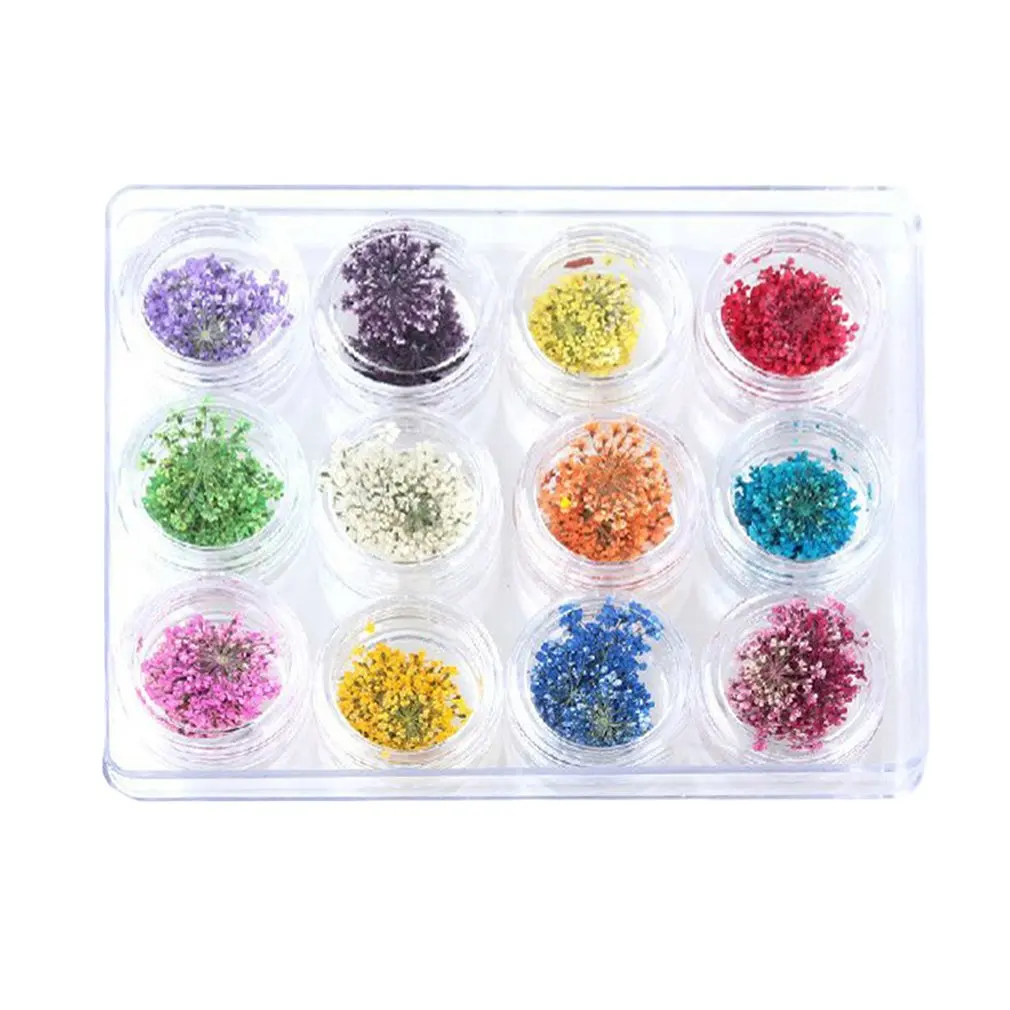 12 Colores/Set Mixto de Flores Secas Belleza de Uñas de Arte de DIY Nail Art Consejos de Pegatinas Mujeres Manicura Decoración de Flores Secas 1