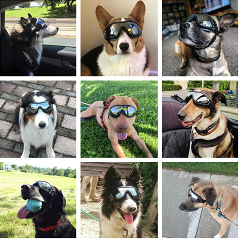 Perro de Gafas de sol de Protección UV a prueba de viento Gafas de Pet gafas en Medio de un Gran Perro de Natación Patinaje Gafas Accessaries Suministros de Mascota 1