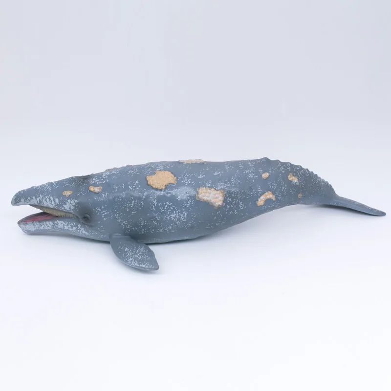 CollectA De Vida Salvaje De Los Animales Del Océano De La Ballena Gris De Plástico De Simulación De Juguete Modelo #88836 1