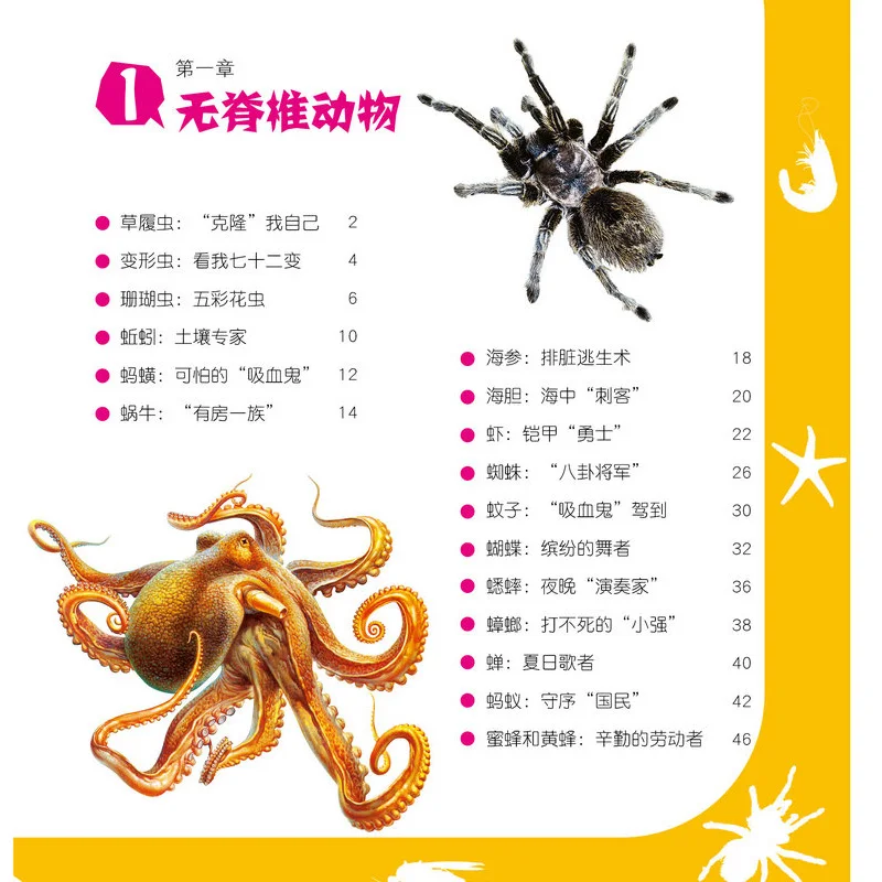 Los Niños chinos de los Animales de la Enciclopedia Libro a los Estudiantes de Descubrimiento del Mundo Animal las edades de 8 a 12 Libros Livros Kitaplar Arte 2