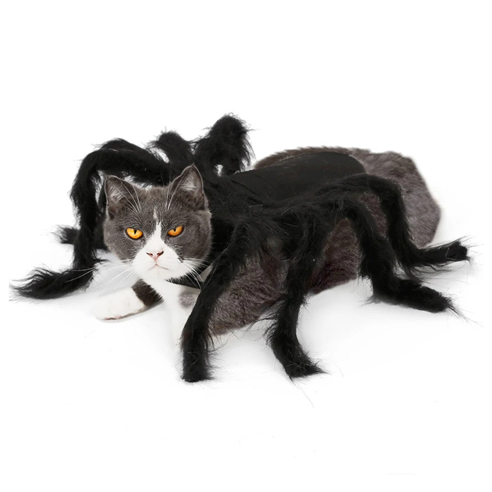 Nueva De Halloween Para Mascotas Araña Ropa De Simulación De La Araña Negra Cachorro Traje De Cosplay Para Perros Gatos Fiesta Cosplay Divertido Traje De Gato 2