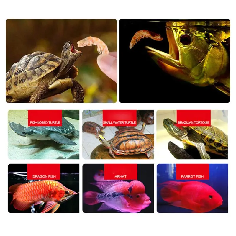 Acuario De Peces Tropicales Alimentos Reptiles Tortuga Arowana De Alimentación De Congelación De Camarón Seco Dieta Saludable 3