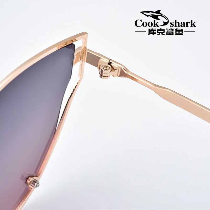 Cocinar Tiburón 2019 nuevas gafas de sol de las señoras gafas de sol de HD polarizadas de conducción gafas de hipster retro 3