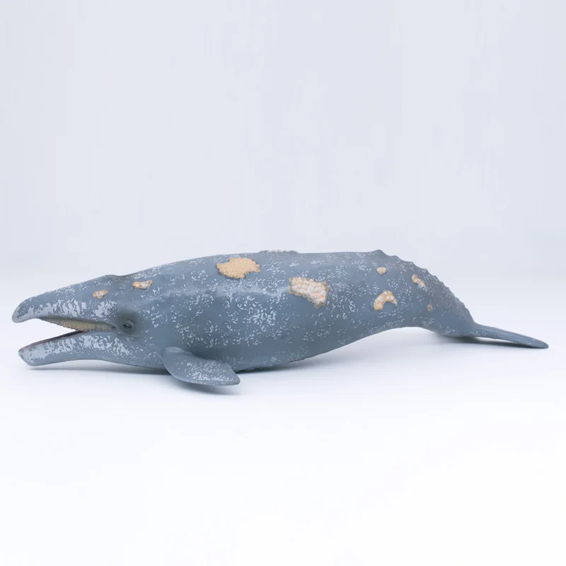 CollectA De Vida Salvaje De Los Animales Del Océano De La Ballena Gris De Plástico De Simulación De Juguete Modelo #88836 3