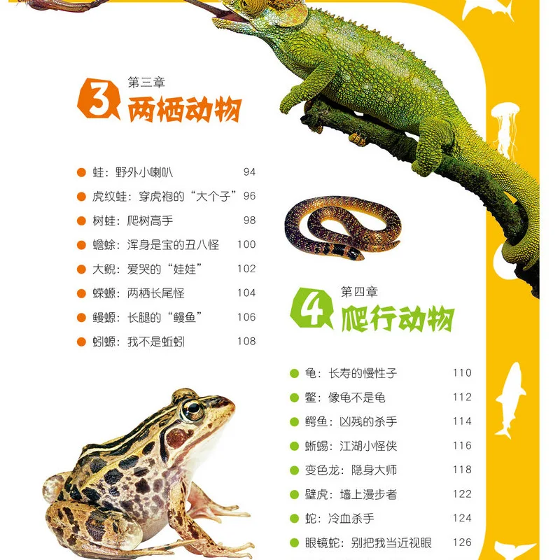 Los Niños chinos de los Animales de la Enciclopedia Libro a los Estudiantes de Descubrimiento del Mundo Animal las edades de 8 a 12 Libros Livros Kitaplar Arte 4