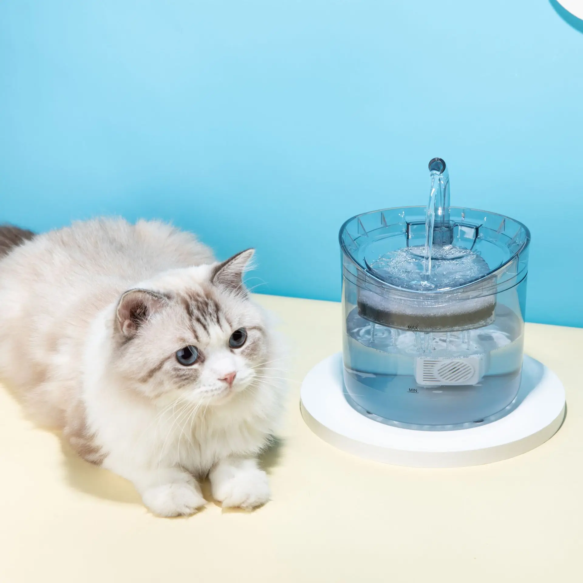 Automático Cat Fuente De Agua Con Grifo De Perro Dispensador De Agua Transparente Bebedero Para Mascotas Potable Alimentador De Filtros Sensor De Movimiento 4
