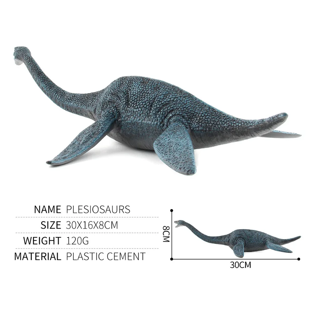30cm Plesiosaurios Dinosaurios Modelos Animales los Modelos Educativos de las Figuras de Acción de la Colección de Juguetes Regalos 4