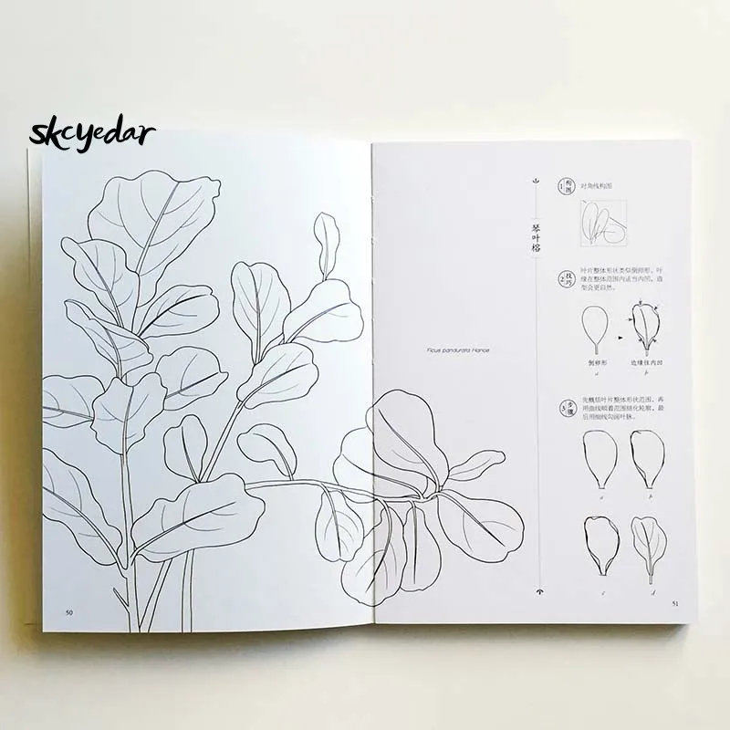 Bosquejar & Colorear de Flores para Colorear Libro para Adultos 69 Tipos de Hermosas Flores y Plantas Edición en Chino Anti-estrés 4