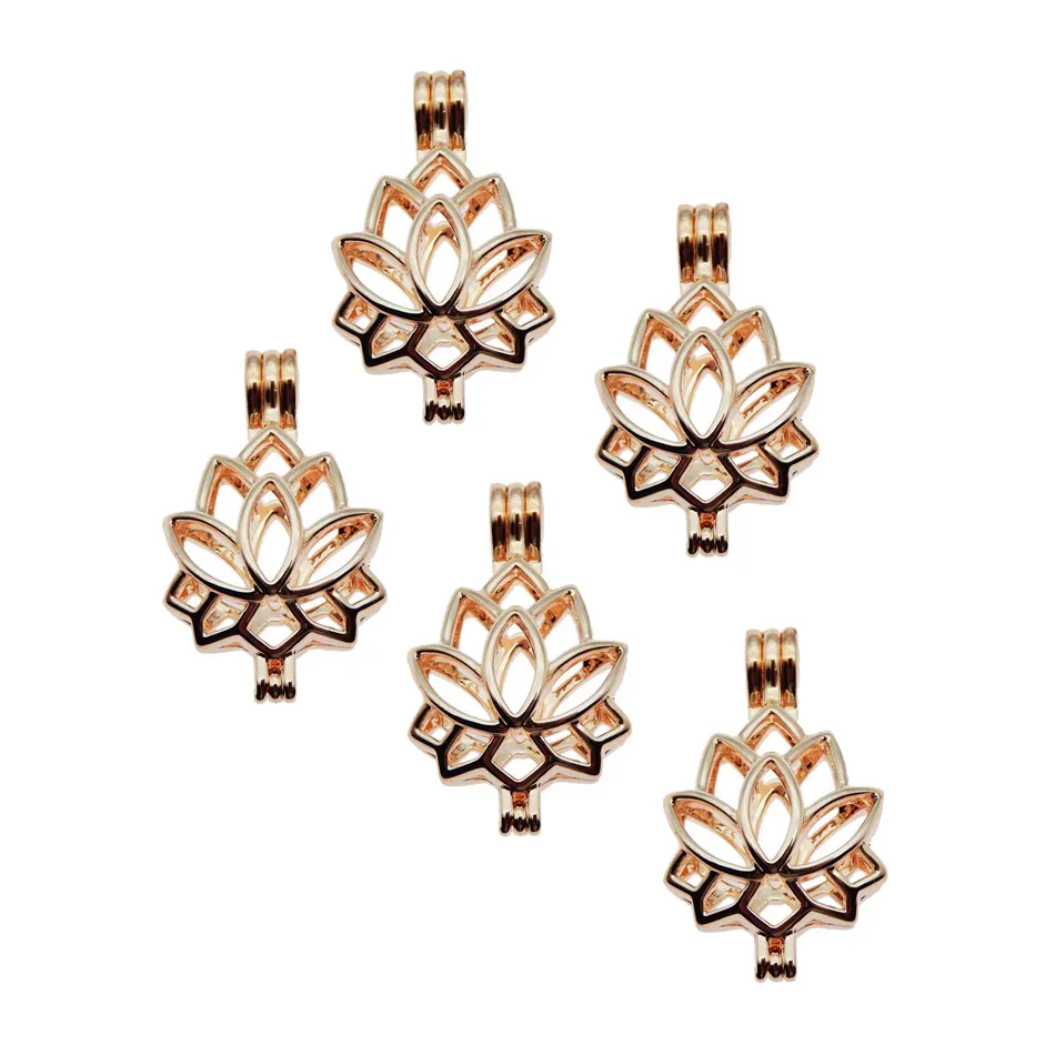 10pcs de Oro Rosa de Lotus encanto de la Perla de la Jaula para la Fabricación de Joyas de Bolas Jaula Colgante Aroma del Aceite Esencial Difusor Relicario para la Ostra de la Perla 5