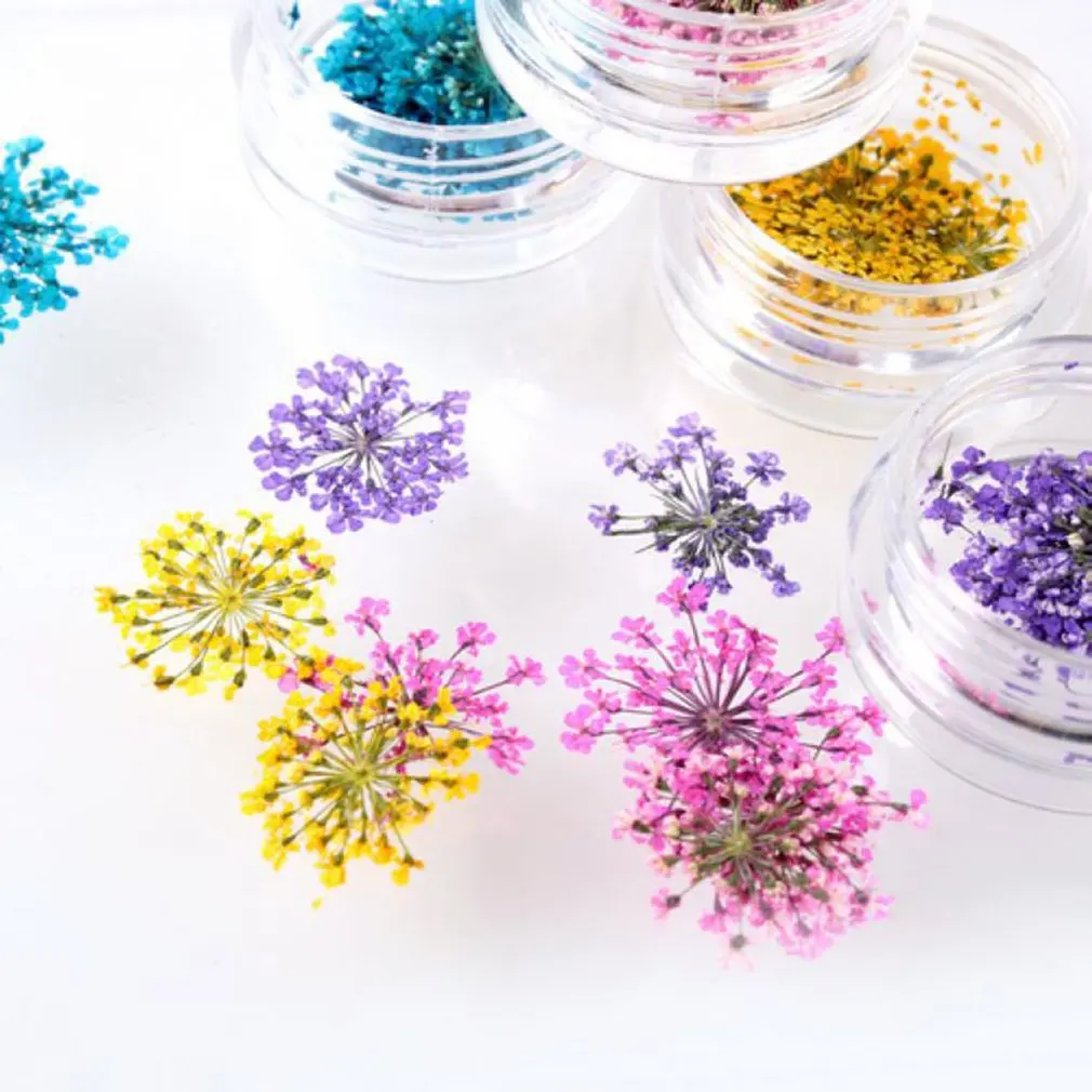 12 Colores/Set Mixto de Flores Secas Belleza de Uñas de Arte de DIY Nail Art Consejos de Pegatinas Mujeres Manicura Decoración de Flores Secas 5
