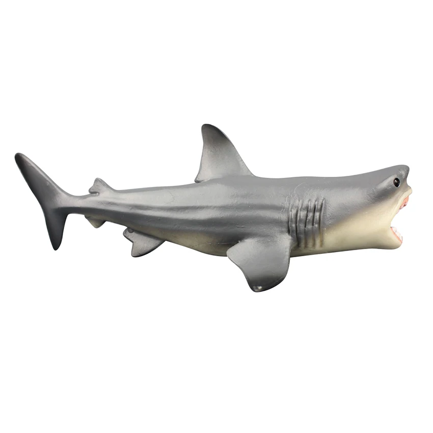 Tiburón Megalodon Océano Modelo De Educación Gigante De Diente De Tiburón Criaturas Acuáticas, Animales Salvajes, Parque Zoológico De Modelado De Plástico Al Mar Ascensor Juguete 5