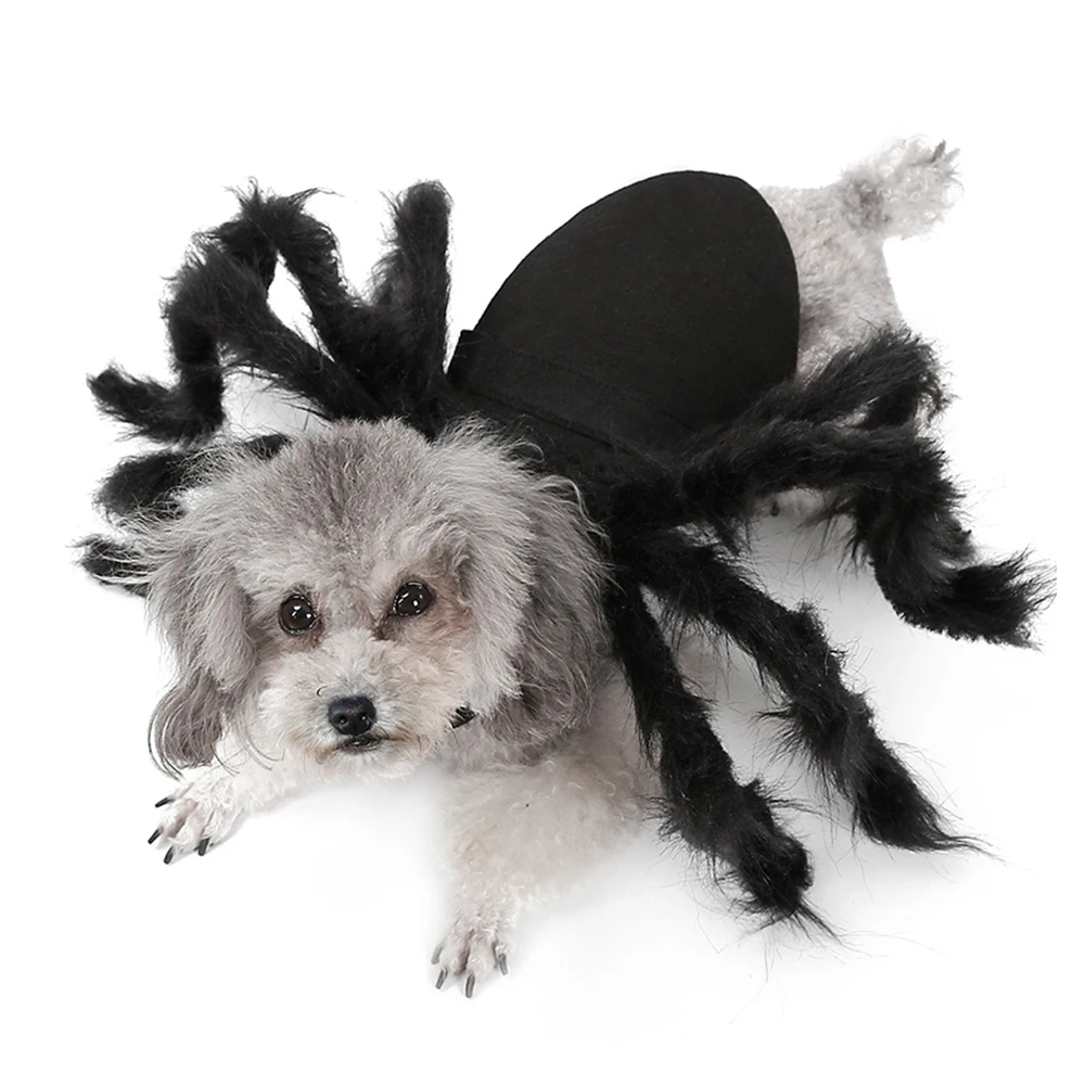 Nueva De Halloween Para Mascotas Araña Ropa De Simulación De La Araña Negra Cachorro Traje De Cosplay Para Perros Gatos Fiesta Cosplay Divertido Traje De Gato 5