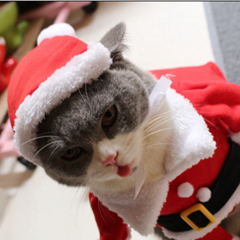 [PMK Gato Trajes de] Santa Cláusula Disfraz de Gato!! Lindo Santa! Rojo De Santa Gato De La Ropa Del Traje De La Capa De La Ropa, X-Mas De Disfraces 5